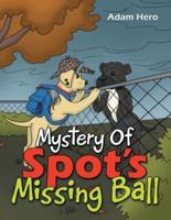 Mystery Of Spot's Missing Ball