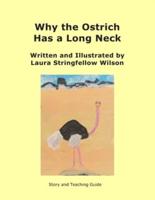 Why the Ostrich Has a Long Neck