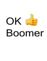 OK Boomer Journal