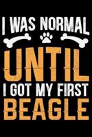 I Was Normal Until I Got My First Beagle