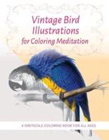 Vintage Bird Illustrations for Coloring Meditation