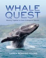 Whale Quest