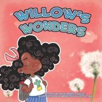 Willow's Wonders