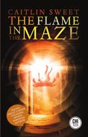 The Flame in the Maze