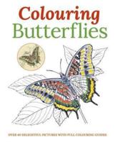 Colouring Butterflies