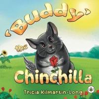 'Buddy' the Chinchilla