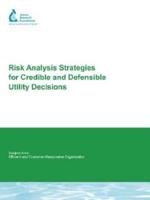 Risk Analysis Strategies For Credible and Defensible Utility Decisions
