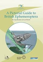 A Pictorial Guide to British Ephemeroptera