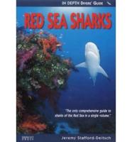 Red Sea Sharks