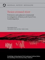Twice-Crossed River
