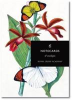 Butterflies from the RIA Collection Notecards