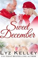 Sweet December: A mature, Silver Fox romance book