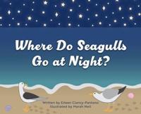 Where Do Seagulls Go at Night?