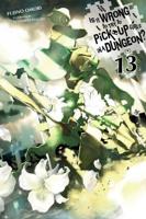 Is It Wrong to Try to Pick Up Girls in a Dungeon? Volume 13