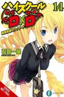 High School DXD, Vol. 14 (Light Novel)