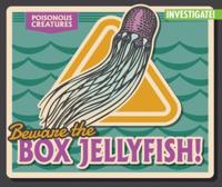 Beware the Box Jellyfish!