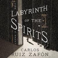 LABYRINTH OF THE SPIRITS LIB D
