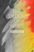 Colours of Birds