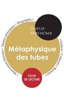 Fiche de lecture Métaphysique des tubes de Amélie Nothomb (Étude intégrale)