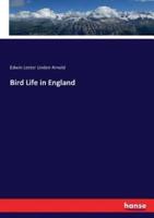 Bird Life in England