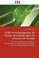 G2/M et morphogenèse du fuseau de division dans les ovocytes de Xénope