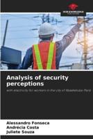 Analysis of Security Perceptions