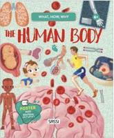 QUESTIONS ANSWERS HUMAN BODY