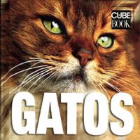 Gatos / Cats