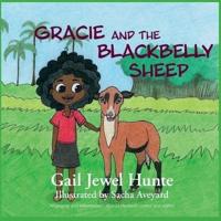 Gracie and the Blackbelly Sheep