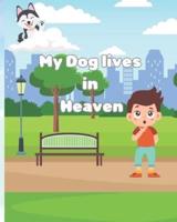 My Dog Lives in Heaven