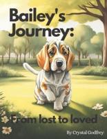 Bailey's Journey - From Lost to Loved