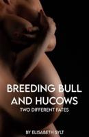 Breeding Bull and Hucows