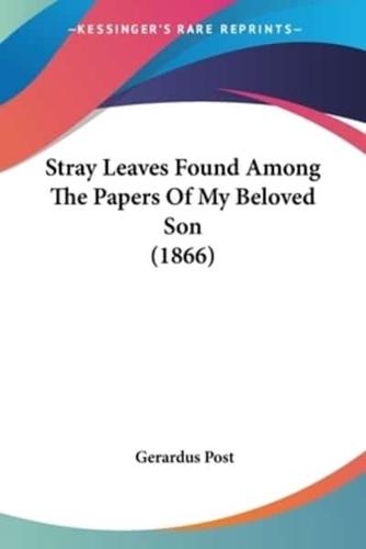 Stray Leaves Found Among The Papers Of My Beloved Son (1866)