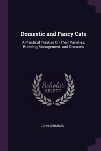 Domestic and Fancy Cats