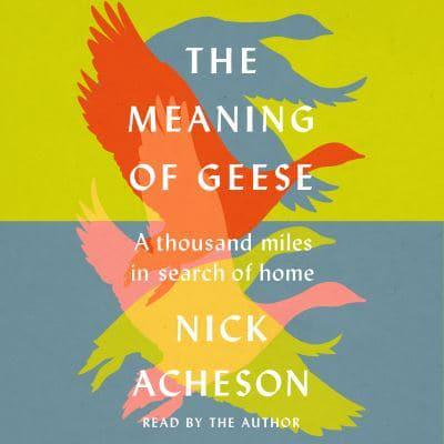 The Meaning of Geese