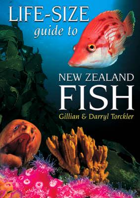 Life-Size Guide to New Zealand Fish