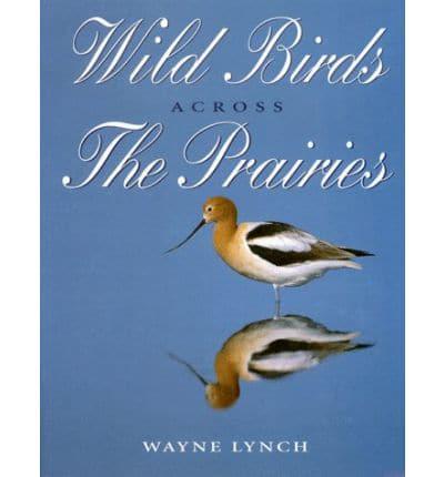 Wild Birds Across the Prairies