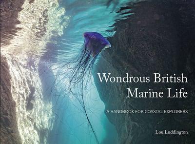 Wondrous British Marine Life